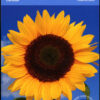 Canada Stamp #2444a - Sunflowers (2011) 10 x P (59¢) Booklet pane of 10 stamps (5 x (#2443, 2444)) (BK449) - Image 2