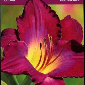 Canada Stamp Booklet - #BK484 Daylilies (2012) 10 x P (61¢) Booklet of 10 stamps (#2530a in cover)
