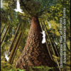 Canada Stamp #2463a - International Year of Forests (2011) 8 x P (59¢) Booklet pane of 8 stamps (4 x #2462-3) (BK452) - Image 2