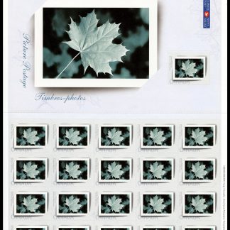 Canada Stamp #2064-Pane - Picture Frame (2004) 21 x (49¢) Pane of 21 stamps