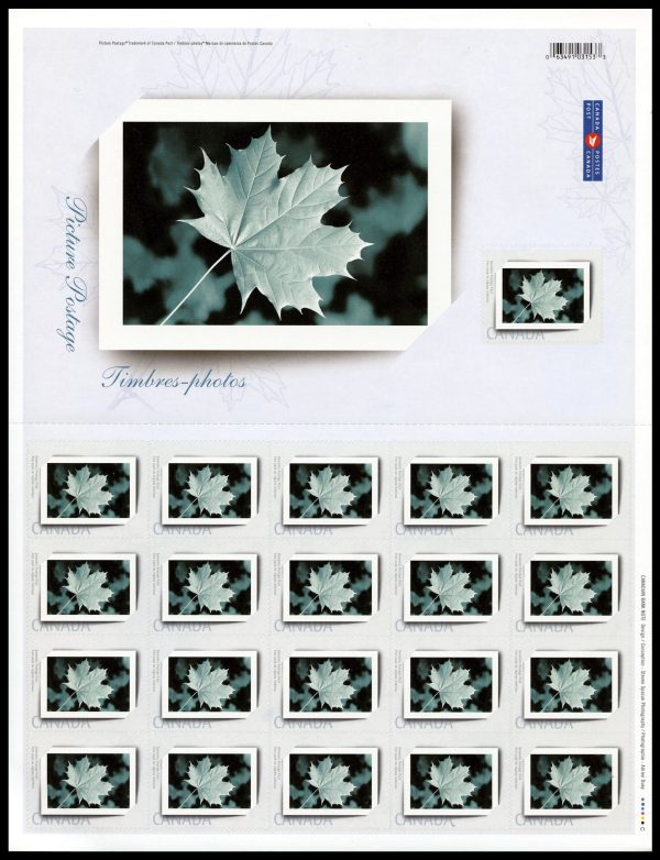Canada Stamp #2064-Pane - Picture Frame (2004) 21 x (49¢) Pane of 21 stamps