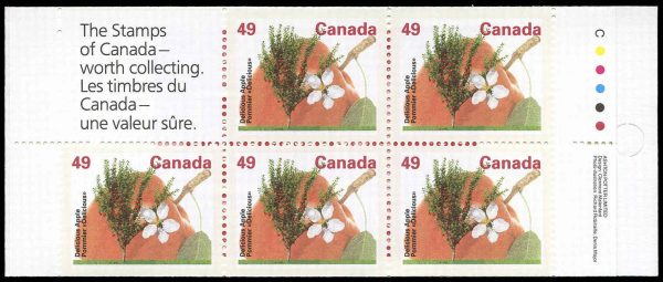 Canada Stamp Booklet - #BK156 Delicious Apple (1992) 5 x 49¢ Booklet of 5 stamps (#1364b in cover), 2 overlapped stamps on the cover - Image 2